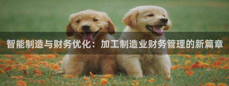 万事达娱乐请55312