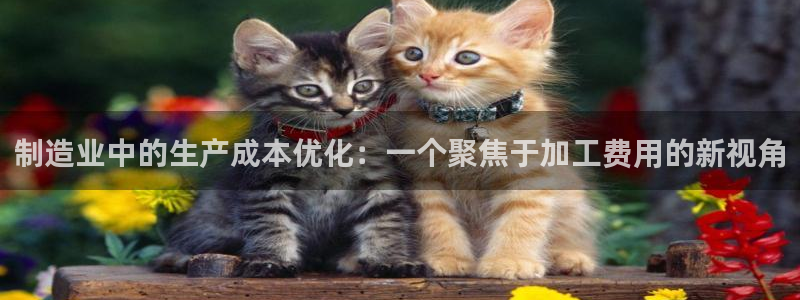万事达娱乐j霜441200