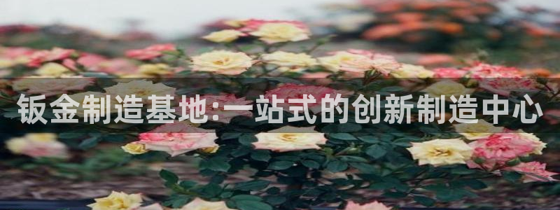 万事达娱乐闻21000