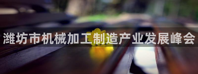 万事达娱乐b 判官