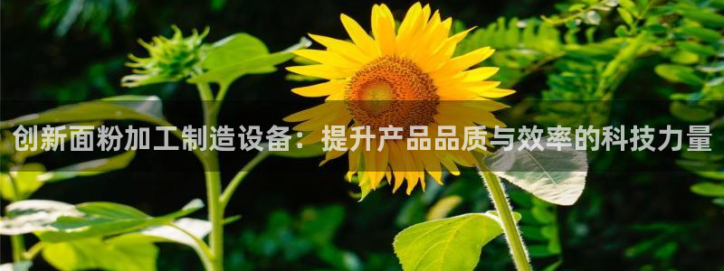 万事达娱乐股东