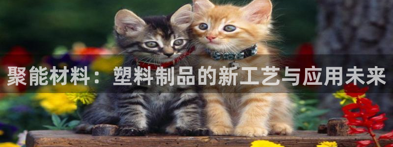 万事博网上娱乐