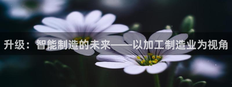 万事达娱乐请55312