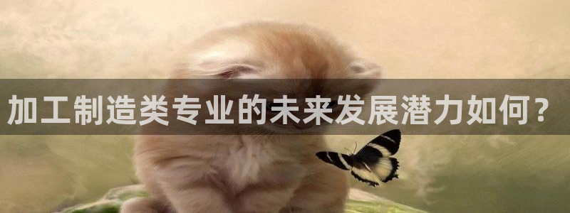 万事娱乐手机客户端