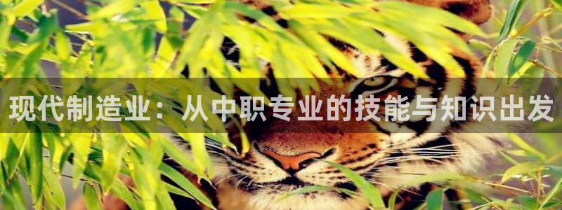 万事娱乐下载