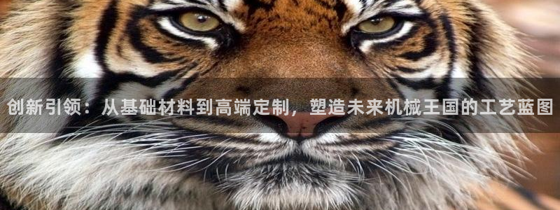 万事娱乐检测