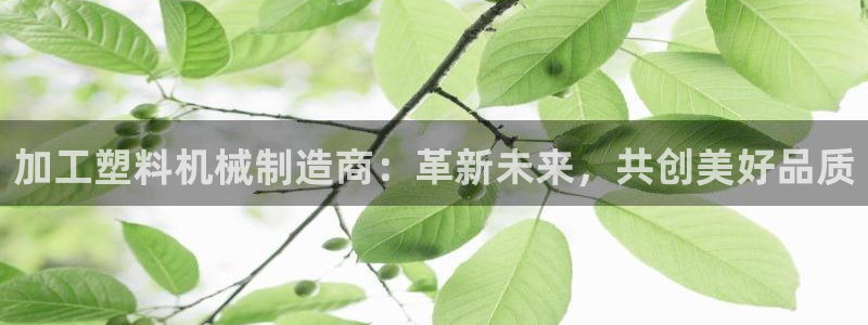 万事达娱乐f 判官