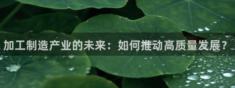 万事娱乐322901
