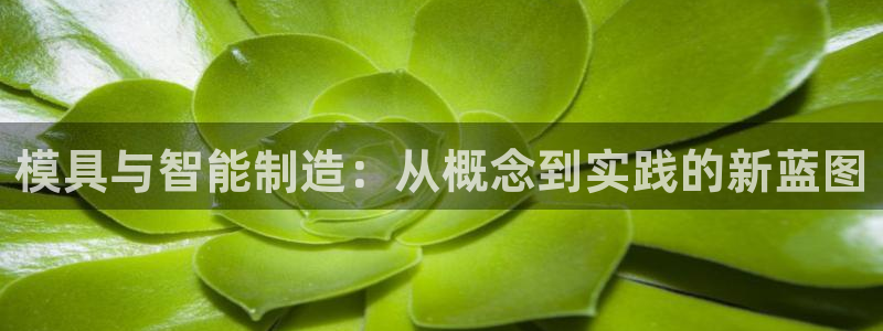 万事娱乐挂机软件下载