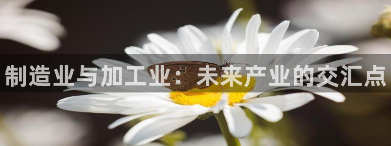 万事达娱乐j霜441200