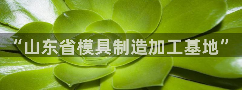 万事娱乐汇
