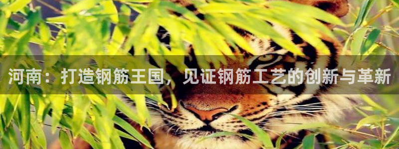 万事娱乐登陆注册