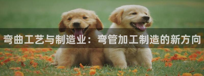 万事娱乐总代