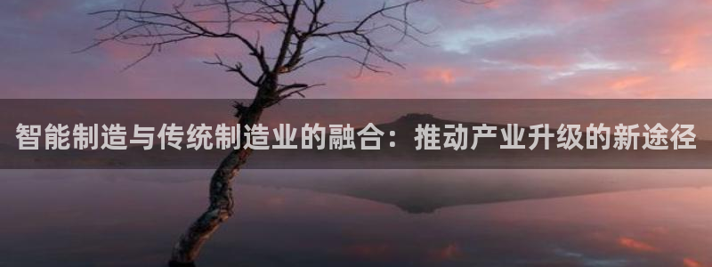万事达娱乐问55312