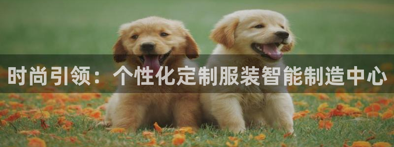 万事博国际娱乐