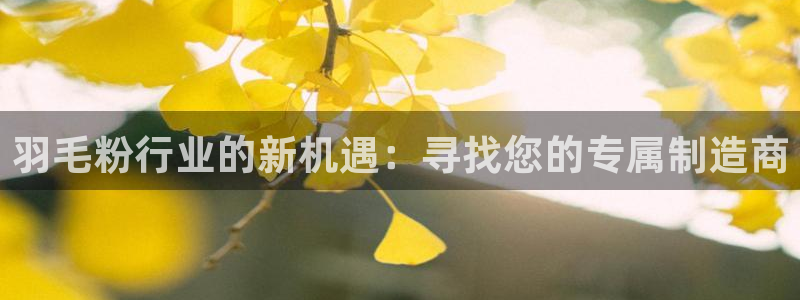万事娱乐中心
