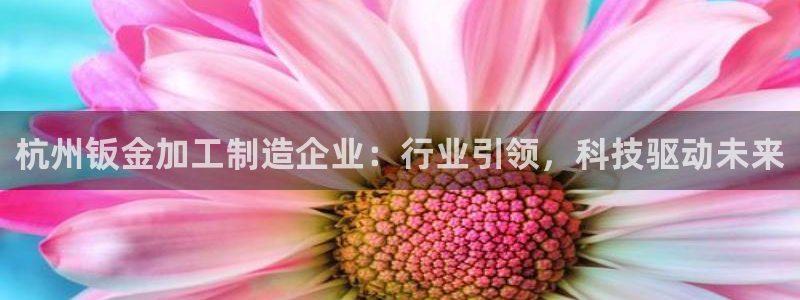 万事达娱乐d实力56262
