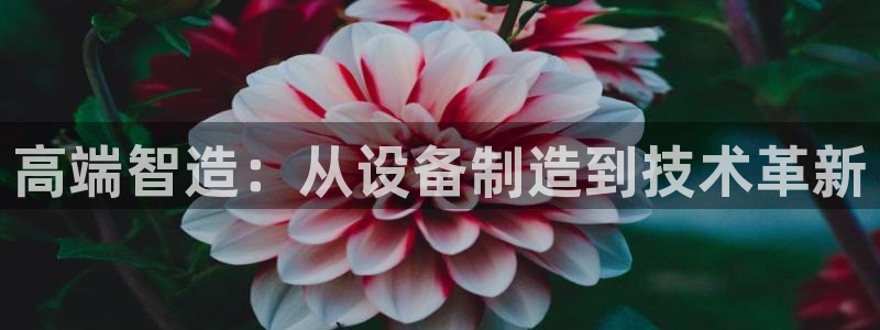 万事如意朋友娱乐