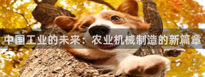 万事娱乐的介绍词