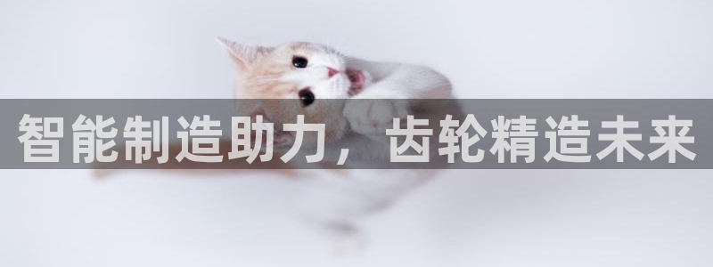 万事娱乐系37997筘