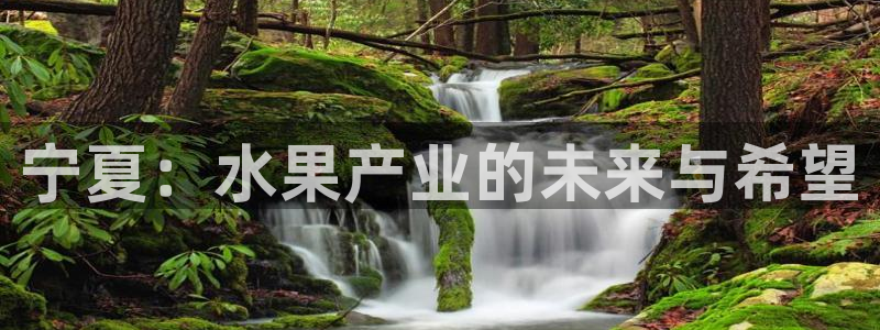 万事娱乐主管招聘要求