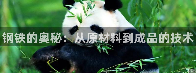 万事达娱乐代理