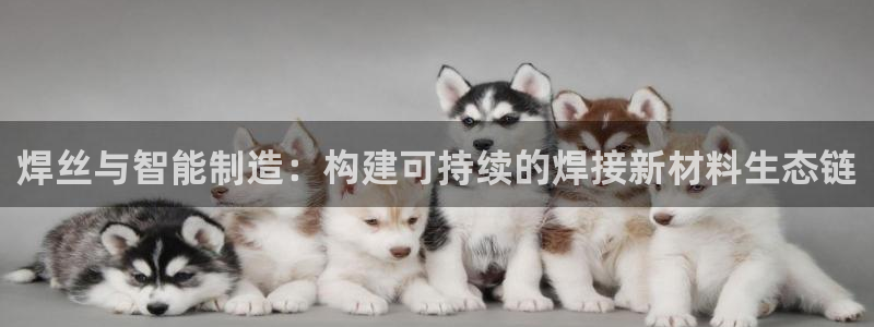 万事娱乐注册登录
