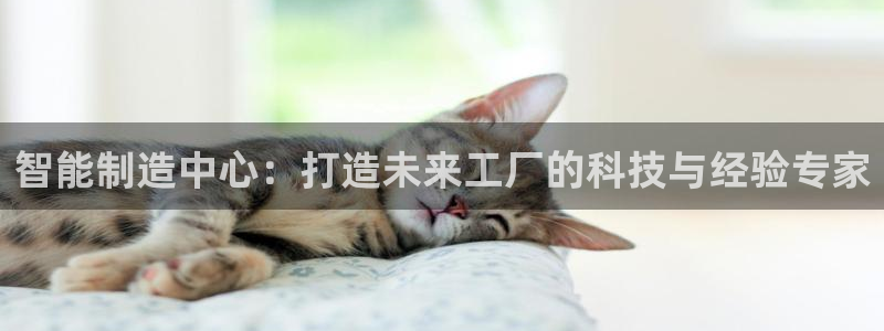 万事娱乐主管薪资结构