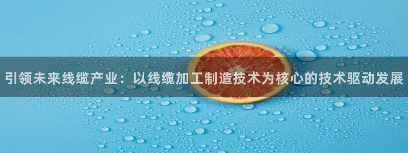 万事娱乐公司简介