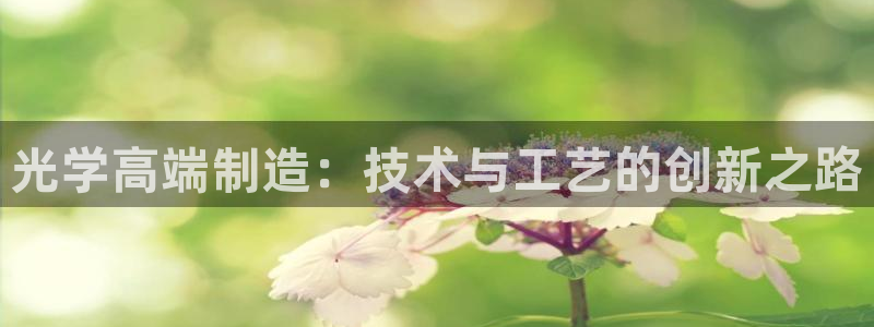 万事娱乐公司