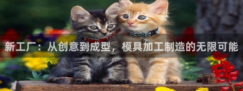 万事达娱乐指尖可