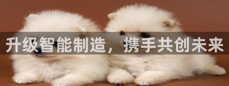 万事娱乐平台注册登录