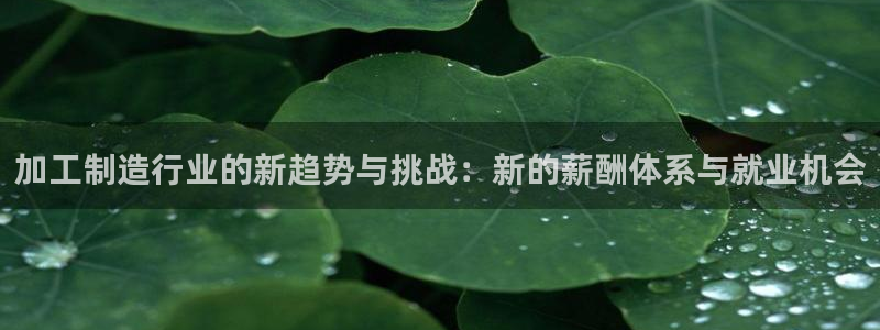 万事娱乐注册平台官网