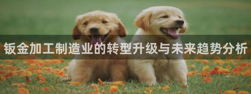 万事娱乐官网登录