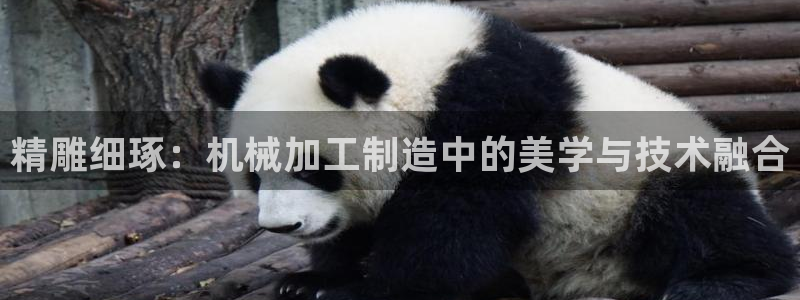 万事如意朋友娱乐