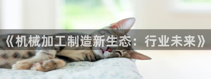 万事娱乐靠谱吗