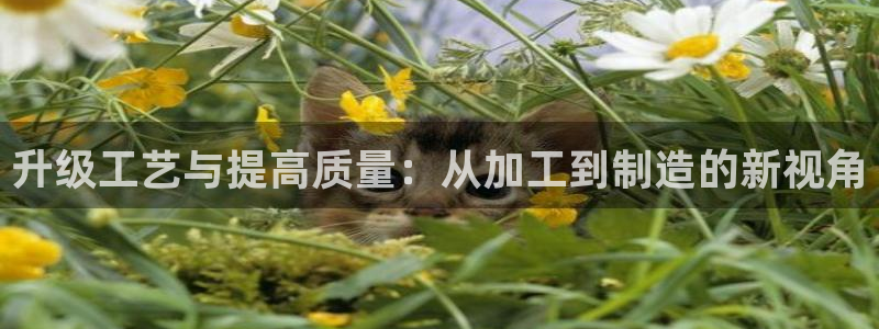 万事娱乐在线注册账号