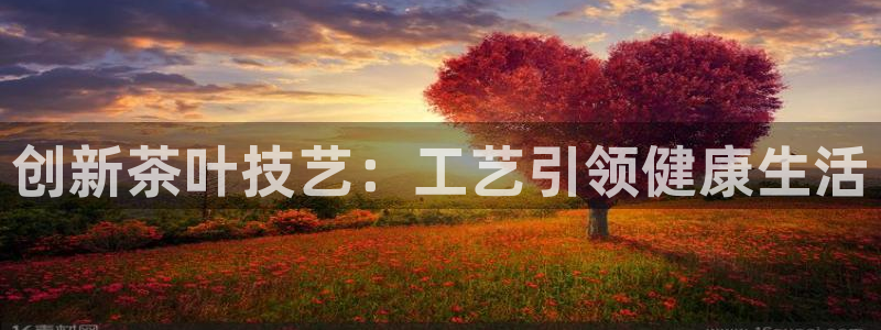 万事娱乐总裁简介