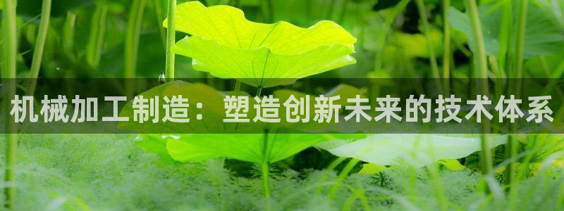 万事娱乐最高代理注册