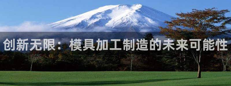 万事达娱乐朱善良