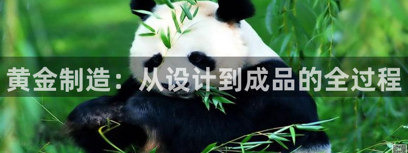 万事达娱乐 招商