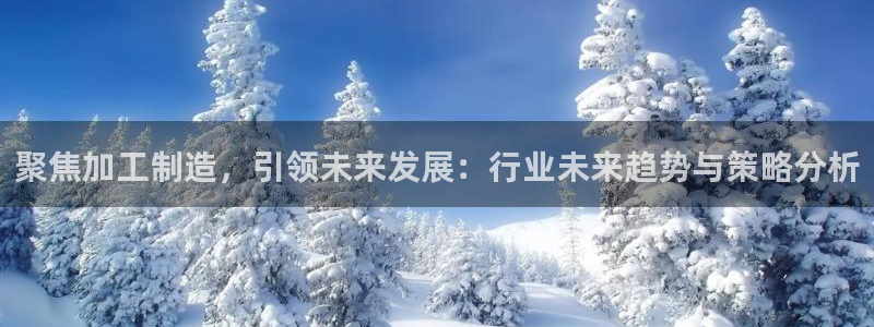 万事达娱乐筘55312