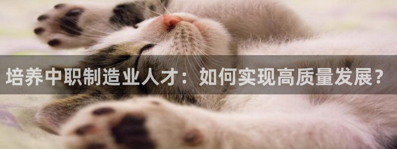 万事娱乐计划下载