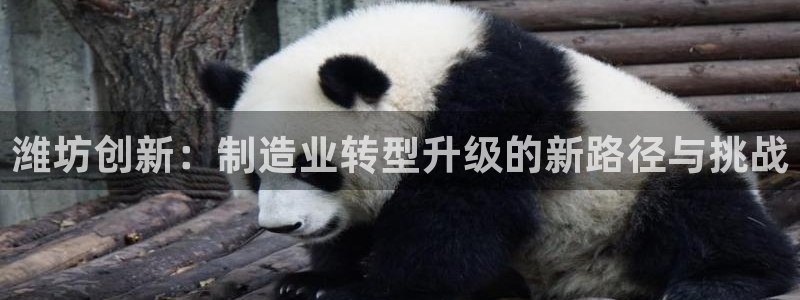 万事达娱乐高善良