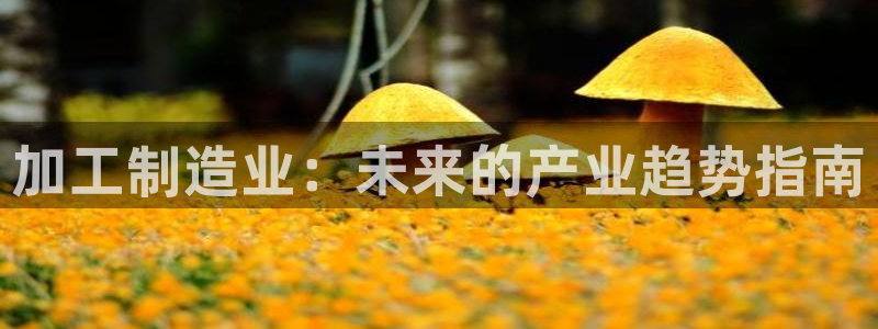 网易万事娱乐app