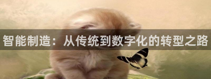 万事娱乐下载地址在哪