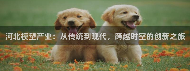 万事娱乐代理加盟条件