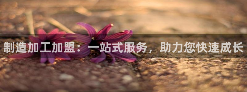 万事娱乐下载地址查询