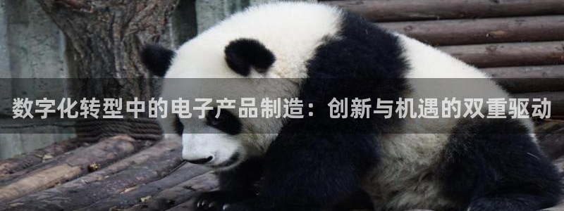 万事娱乐登录地址在哪