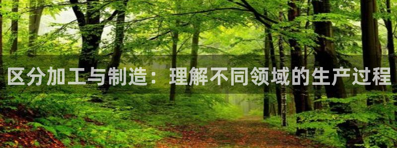 万事娱乐筘49403